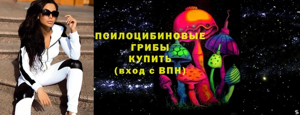 шишки Верея