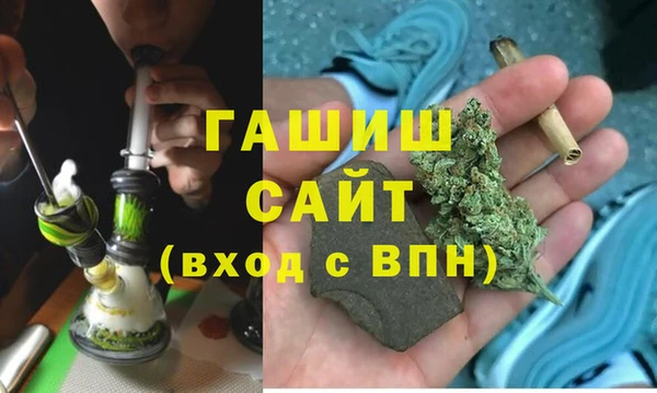 шишки Верея